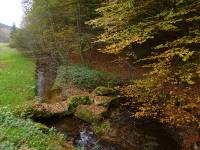 Odenwald Foto: Bachauen des Finkenbachs