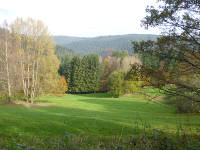 Odenwald Foto: Waldwiese bei Raubach