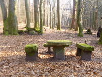 Odenwald Foto: Steinerner Tisch